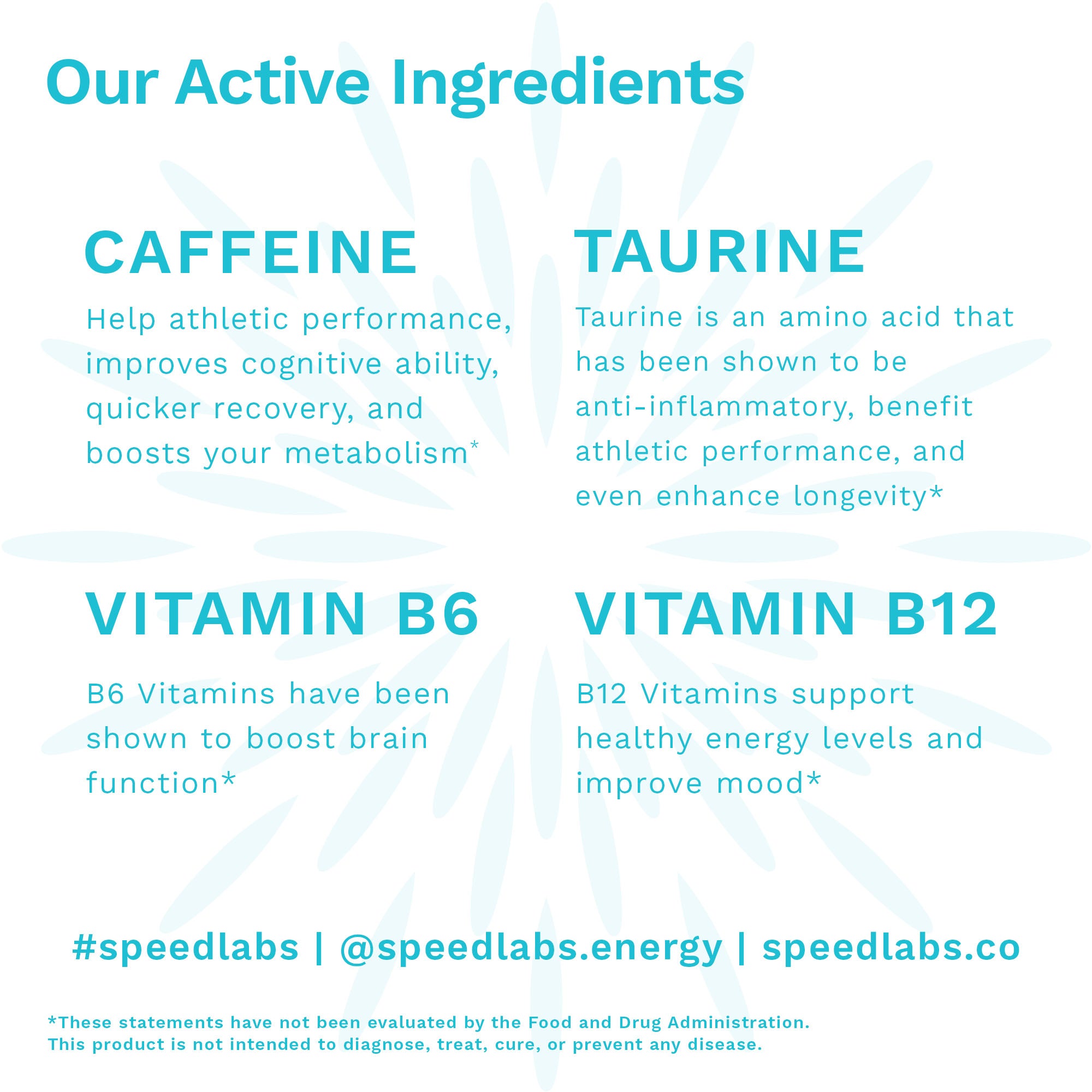 Natural Mint Energy Gum